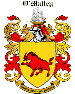 DUPUIS family crest